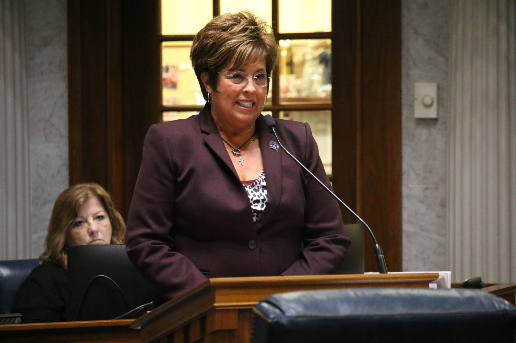 Human sexuality bill runs gauntlet of amendments in fraught Senate debate